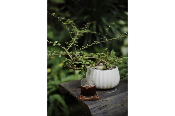 Creating Calm and Character in a London Townhouse Garden