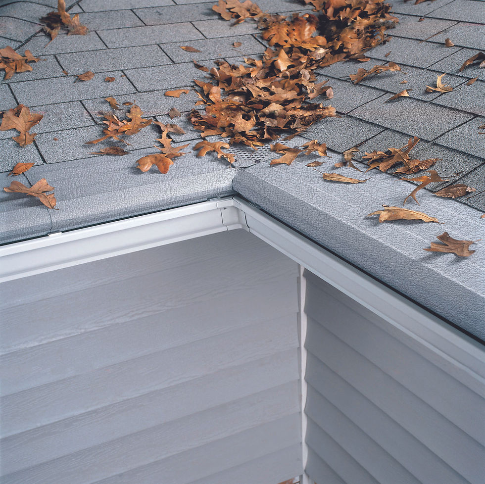 Don’t Let Leaks Spoil Your Comfort: Effective Gutter Repair in Cedar Rapids